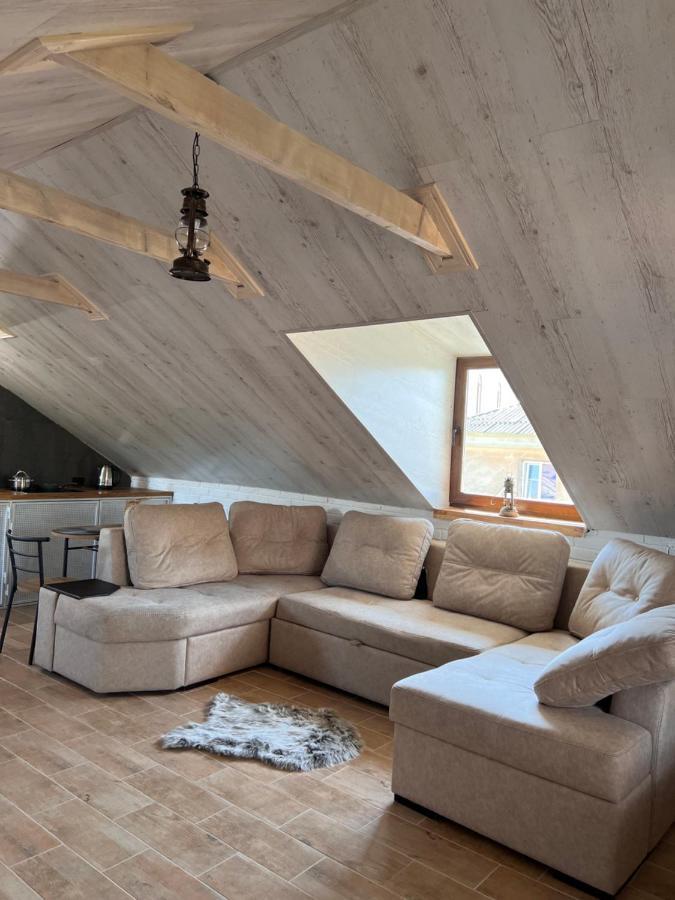 Luxury_Loft Daire Kamyanets-Podilski Dış mekan fotoğraf
