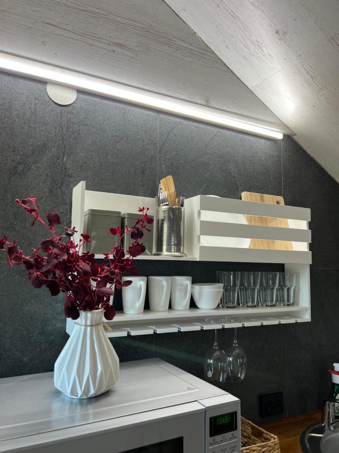 Luxury_Loft Daire Kamyanets-Podilski Dış mekan fotoğraf